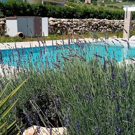 Villa Miro, Stupenda Villa Con Piscina Privata Кастелламмаре-дель-Голфо Экстерьер фото
