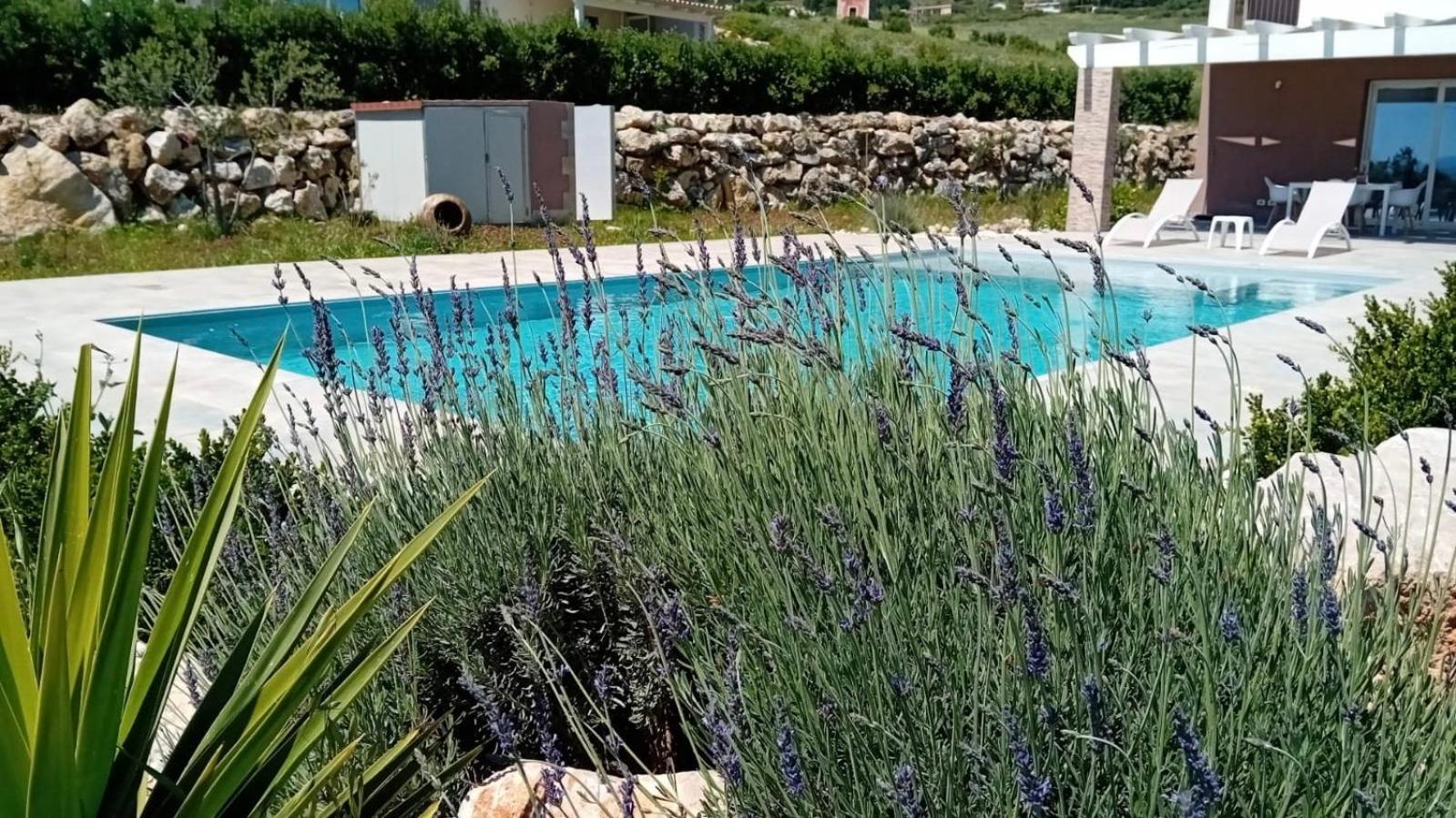 Villa Miro, Stupenda Villa Con Piscina Privata Кастелламмаре-дель-Голфо Экстерьер фото